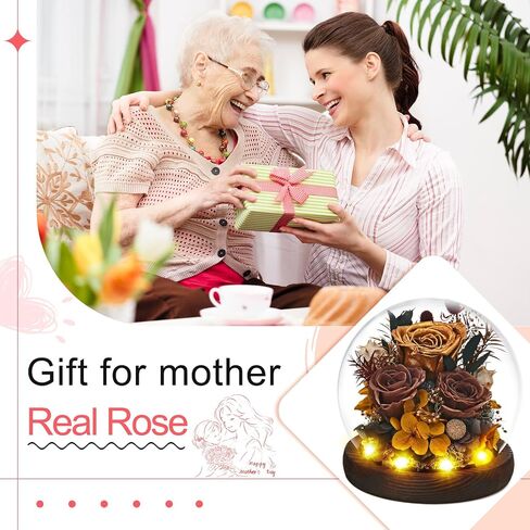 Gifts for Wome, Mom, Grandma, Wife, Preserved Rose Flowers in Glass Dome for Birthday Gifts, Christmas, Valentines, Anniversary, Wedding, Thanksgiving, Mothers Day, with LED Light (Red) in Saudi Arabia