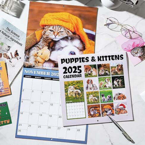 2025-2026 Wall Calendar -2025-2026 Calendar from Jul. 2025- Dec. 2026, Aurora Calendar, 18 Month Wall Calendar with Thick & Sturdy Paper, 12" x 24" Opened, For Gifts in Kuwait