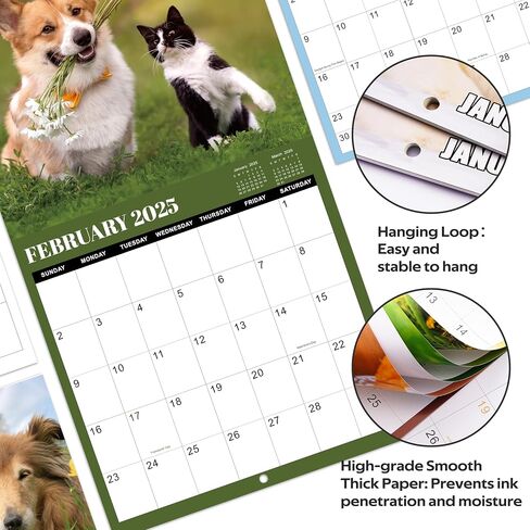 2025-2026 Wall Calendar -2025-2026 Calendar from Jul. 2025- Dec. 2026, Aurora Calendar, 18 Month Wall Calendar with Thick & Sturdy Paper, 12" x 24" Opened, For Gifts in Kuwait