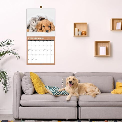 2025-2026 Wall Calendar -2025-2026 Calendar from Jul. 2025- Dec. 2026, Aurora Calendar, 18 Month Wall Calendar with Thick & Sturdy Paper, 12" x 24" Opened, For Gifts in Kuwait