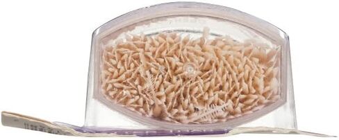 The Doctor's BrushPicks Interdental Toothpicks, 275 Picks (Pack of 3) in Saudi Arabia