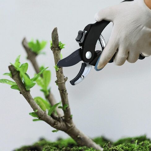 Nevlers 8" Green Bypass Pruning Shears for Gardening | Garden Shears w/Stainless Steel Blades | 8mm Cut Cap. Plant Shears Gardening Tools | Ergonomic Hand Pruners for Gardening Gifts for Men & Women in Kuwait