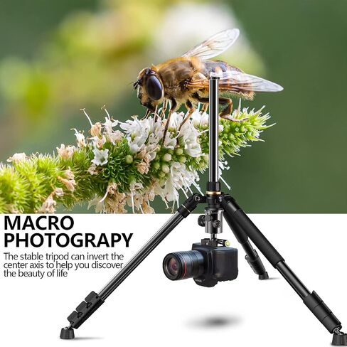 Camera Tripod 69 Inch, Patented 3-Way Swivel Portable Phone Tripod Professional Aluminum Alloy Travel Phone Camera Stand Monopod for Canon Nikon GoPro DSLR, DV Video Camcorder, Smartphone Black in Saudi Arabia