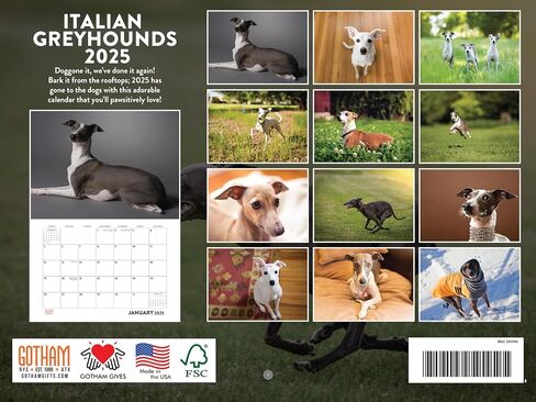 Vizsla Calendar 2025 Monthly Wall Calander 12 Month | American Made In The USA in Kuwait