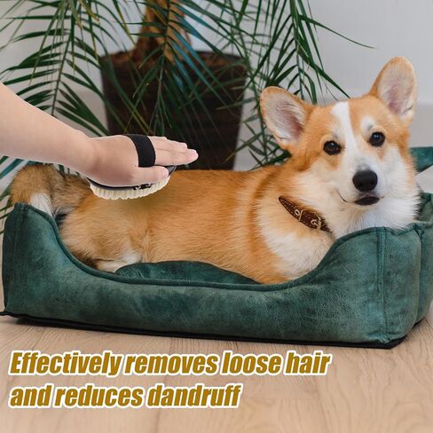 فرشاة نخيل الحيوانات الأليفة للكلاب والقطط ، فرشاة يدوية جرو لتدليك سقيفة الاستمالة ، فرشاة هريرة ناعمة كفاءة مزيل الشعر لزرع الشعر لحيوانات الشعر الطويلة والقصيرة (بنية) in Kuwait