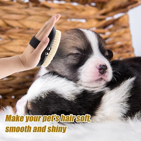 فرشاة نخيل الحيوانات الأليفة للكلاب والقطط ، فرشاة يدوية جرو لتدليك سقيفة الاستمالة ، فرشاة هريرة ناعمة كفاءة مزيل الشعر لزرع الشعر لحيوانات الشعر الطويلة والقصيرة (بنية) in Kuwait