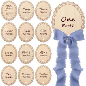 14 Pcs Wooden Monthly Baby Milestone with Ribbon Monthly Milestone Wood Discs Photo Props for Newborn Baby Girl Boy Baby Shower Gifts(Pink)