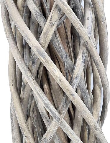 Galt International 21" Naturally Preserved Boxwood Fall Wreath Real Preserved Plant Front Door Winter Holiday Wreath with Hanger Home Decor Accents in Kuwait