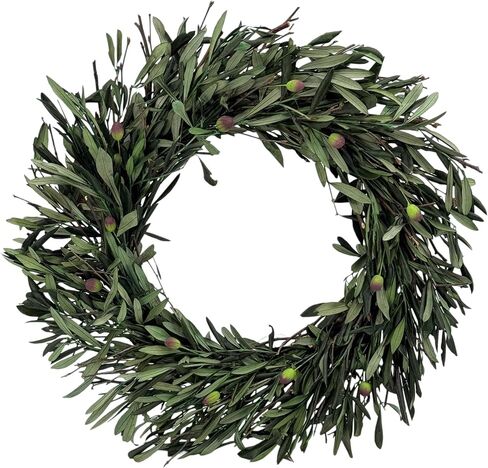 Galt International 21" Naturally Preserved Boxwood Fall Wreath Real Preserved Plant Front Door Winter Holiday Wreath with Hanger Home Decor Accents in Kuwait