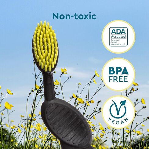 Radius Toothbrush Flex Brush Right Hand Black/Yellow 1 Unit | BPA Free and ADA Accepted | Designed to Improve Gum Health and Reduce The Risk of Gum Disease in Saudi Arabia