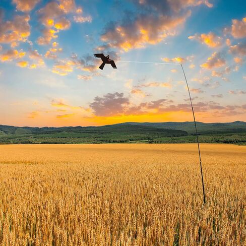 eyijklzo Bird Scarer Flying Kite Crops Farm Flying Bird Hawk Flying Kite in Saudi Arabia