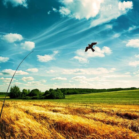 eyijklzo Bird Scarer Flying Kite Crops Farm Flying Bird Hawk Flying Kite in Saudi Arabia