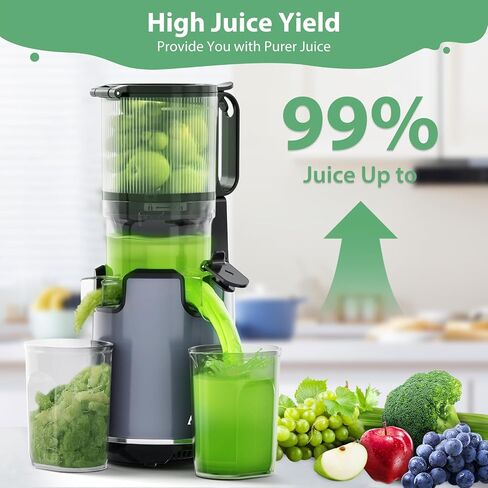 Slow Juicer, Juicer Cold Pressed Easy to Clean in Saudi Arabia