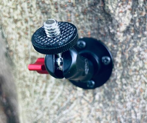Trail Camera Mount Game Camera Mount Trail Camera Tree Mount for Hunting Camera Trail Camera Mount for Trail Camera Quick Mount Bracket Screw in Tree Screw 1/4-inch (2 Pieces) in Saudi Arabia
