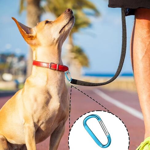 Carabiner Clips, Carabiner for Keys, Pets Leash Harness, Camping, Keychain Accessories, Small Durable in Saudi Arabia