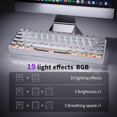 EWEADN G61 Wireless Mechanical Typewriter Keyboard, 60% Mini with Rainbow Backlit, Anti-Ghosting, Red Switch Bluetooth/2.4GHz/USB-C Cute Aesthetic Keyboard-White in Saudi Arabia