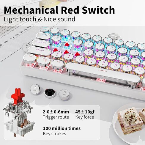 EWEADN G61 Wireless Mechanical Typewriter Keyboard, 60% Mini with Rainbow Backlit, Anti-Ghosting, Red Switch Bluetooth/2.4GHz/USB-C Cute Aesthetic Keyboard-White in Saudi Arabia