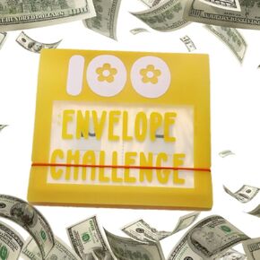 100 Envelope Challenge Binder, Saving Challenge Box kit Cash Saving Challenge Kit, Savings Challenges Book with Cash Envelopes, Budget Planner Book for Budgeting, Savings Challenges Sheets (Blue)