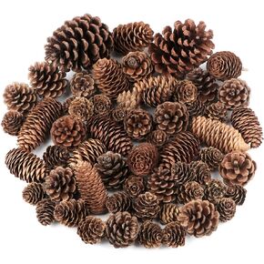 60 PCS Pine Cones Decorations, Natural Pine Cones Bulk Package - Large Medium and Mini Size Rustic Pine Cone Ornaments for Table Christmas Tree Crafts Gifts Thanksgiving Xmas Home Decor