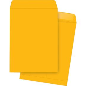 Business Source 42099 Catalog Envelopes, 20 lb., 6-Inch x9-Inch , 500/BX, Kraft