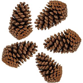 PineCones Tall Bulk Package All Natural,Real Preserved Pine Cones Big Pinecones and Perfect Natural Pine Cones for Christmas Hanging Ornaments Bowl Vase Fillers (3-4.3 in(12pcs))