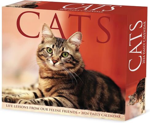 Willow Creek Press Cats Daily 2024 Box/Desk Calendar (5.86" x 4.72") in Saudi Arabia