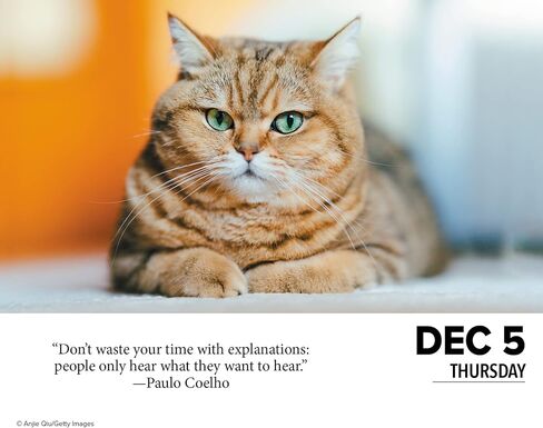 Willow Creek Press Cats Daily 2024 Box/Desk Calendar (5.86" x 4.72") in Saudi Arabia