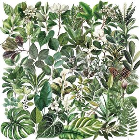 50PCS Dark Aesthetic Stickers,Black Rose Romance Stickers,Transparent PET Stickers,Gothic Scrapbook Supplies,Water Bottle Stickers for Bullet Journal Laptop Skateboard Computer Guitar Stickers in Kuwait