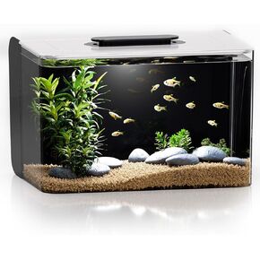 Betta Fish Tank, 2.5 Gallon Aquarium Kit with Filter, Light, Self Cleaning, Oxygenation, Small All in One Starter Fish Tank for Goldfish, Guppy, Shrimp, Desktop, Acrylic