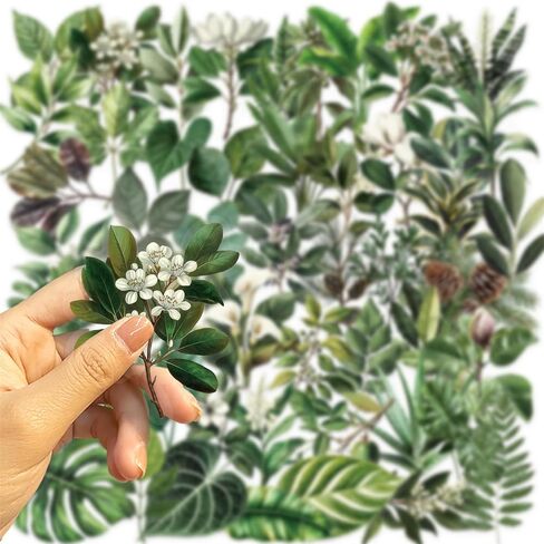 50PCS Dark Aesthetic Stickers,Black Rose Romance Stickers,Transparent PET Stickers,Gothic Scrapbook Supplies,Water Bottle Stickers for Bullet Journal Laptop Skateboard Computer Guitar Stickers in Kuwait