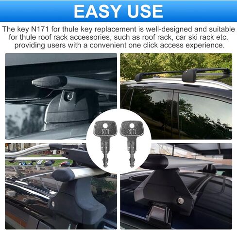 N178 Key for Thule Key Replacement,Fits for Thule Roof Rack Accessories,Car Ski Rack,Crossbars Key Etc(2PCS) in Saudi Arabia