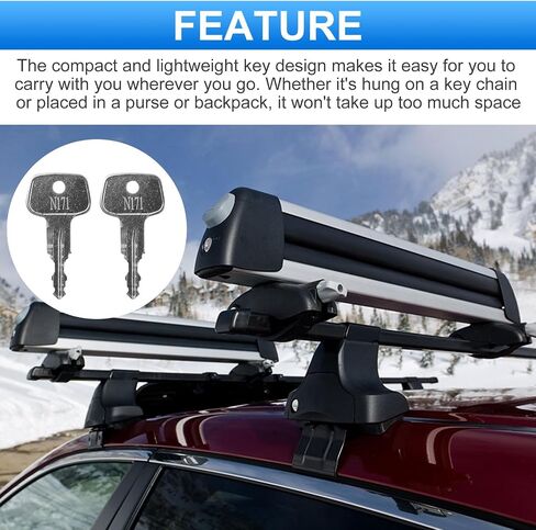 N178 Key for Thule Key Replacement,Fits for Thule Roof Rack Accessories,Car Ski Rack,Crossbars Key Etc(2PCS) in Saudi Arabia