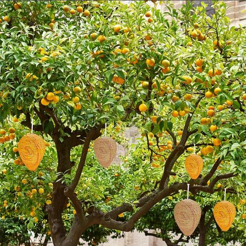 6-pack mini Nest Decoy Paper Hanging Fake Nest for Outdoor Hanging decoration outdoor suspension in Saudi Arabia