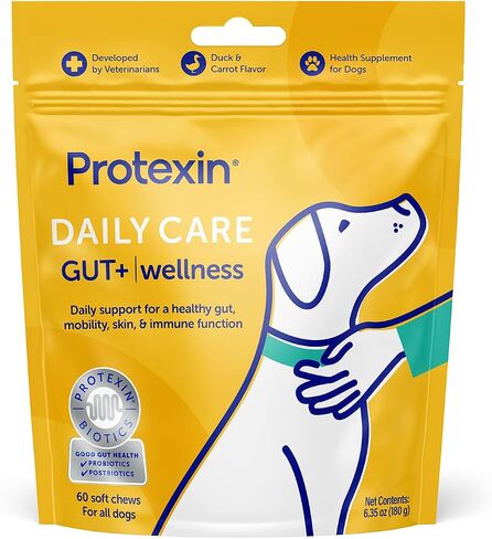 Daily Care Gut+ Skin & Coat, 60 postbiotic Dog Supplement Chews – Salmon and Sweet Potato Flavored in Saudi Arabia
