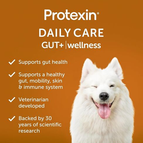 Daily Care Gut+ Skin & Coat, 60 postbiotic Dog Supplement Chews – Salmon and Sweet Potato Flavored in Saudi Arabia
