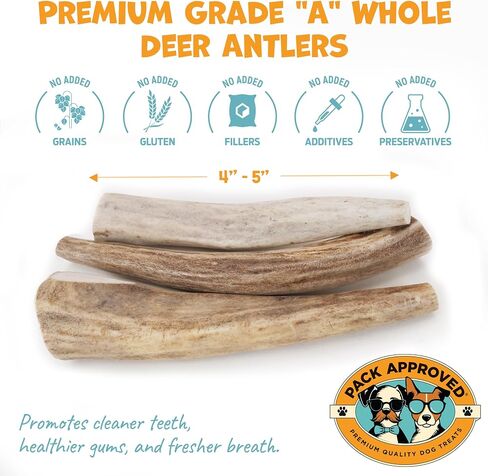 Whole Deer Antler for Dogs - Long Lasting Dog Chews for Aggressive Chewers - Single Ingredient Dog Treat & Odorless Deer Antlers for Small Dogs & Medium Dogs - 4-5" (3ct) in Kuwait