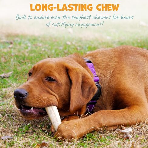 Whole Deer Antler for Dogs - Long Lasting Dog Chews for Aggressive Chewers - Single Ingredient Dog Treat & Odorless Deer Antlers for Small Dogs & Medium Dogs - 4-5" (3ct) in Kuwait