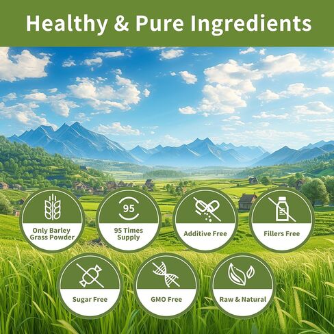 Barley Grass Juice Powder - 100% Pure & Natural Wheatgrass Powder, Supports Cardiovascular, Liver and Digestive Function, Rich in Vitamins, Minerals and Fiber, Vegan, No Maltodextrin & Sugar，8 oz. in Kuwait