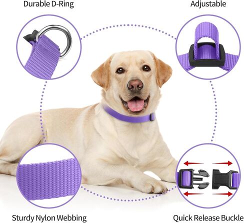 Dog Training Collar, 3300Ft Range Anti Bark Collar, Security Lock & Flashlight, Rechargeable & Reflective Barking Collar, IPX7 Waterproof e Collar for 5-120lbs Small Medium Large Dogs (2 Pack) in Saudi Arabia