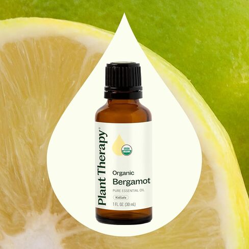 Plant Therapy Organic Bergamot Essential Oil 30 mL (1 oz) 100% Pure, Undiluted, Therapeutic Grade in Saudi Arabia