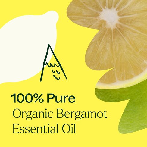 Plant Therapy Organic Bergamot Essential Oil 30 mL (1 oz) 100% Pure, Undiluted, Therapeutic Grade in Saudi Arabia