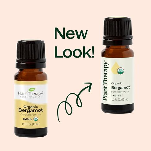 Plant Therapy Organic Bergamot Essential Oil 30 mL (1 oz) 100% Pure, Undiluted, Therapeutic Grade in Saudi Arabia