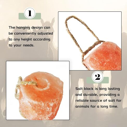 kathson Himalayan Salt Blocks for Horses Animal Salt Lick Brick Natural Mineral Pink Salt Licks for Horse Deer Cattle Sheep and Other Livestock (2 Pcs | 8 x 4 x1 Inches) in Saudi Arabia