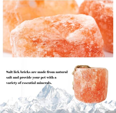 kathson Himalayan Salt Blocks for Horses Animal Salt Lick Brick Natural Mineral Pink Salt Licks for Horse Deer Cattle Sheep and Other Livestock (2 Pcs | 8 x 4 x1 Inches) in Saudi Arabia