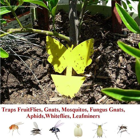 Gideal 30-Pack Dual-Sided Yellow Sticky Traps for Flying Plant Insect Such as Fungus Gnats, Whiteflies, Aphids, Leafminers,Thrips - (6x8 Inches, Included 30pcs Twist Ties) in Saudi Arabia