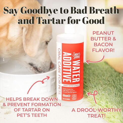 SKOUT'S HONOR: Oral Care Water Additive for Dogs & Cats - Peanut Butter & Bacon 32oz in Saudi Arabia