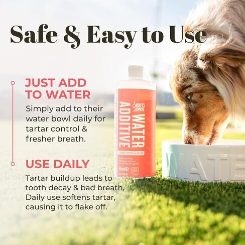 SKOUT'S HONOR: Oral Care Water Additive for Dogs & Cats - Peanut Butter & Bacon 32oz in Saudi Arabia