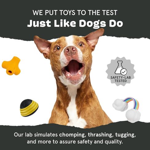 لعبة BARK Ruffberry Blast للكلاب الصغيرة - لعبة توزيع المكافآت مع ارتداد غريب، مثالية للطعام أو الحلوى المفضلة in Saudi Arabia