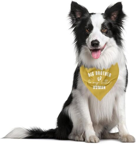 Big Brother to My Little Human Dog Bandana, Big Brother Bandana for Dog, Big Brother Bandana for Dog, Dog Bandana for Small Medium Dogs, Dog Scarf, Gift for Dog Lover (D16) in Saudi Arabia