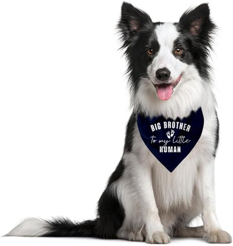 Big Brother to My Little Human Dog Bandana, Big Brother Bandana for Dog, Big Brother Bandana for Dog, Dog Bandana for Small Medium Dogs, Dog Scarf, Gift for Dog Lover (D16) in Saudi Arabia